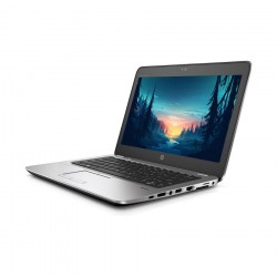 HP EliteBook 725 G4 AMD A12 Pro 8830B 2.5 GHz | 4GB | 256 SSD | WEBCAM | WIN 10 PRO barato